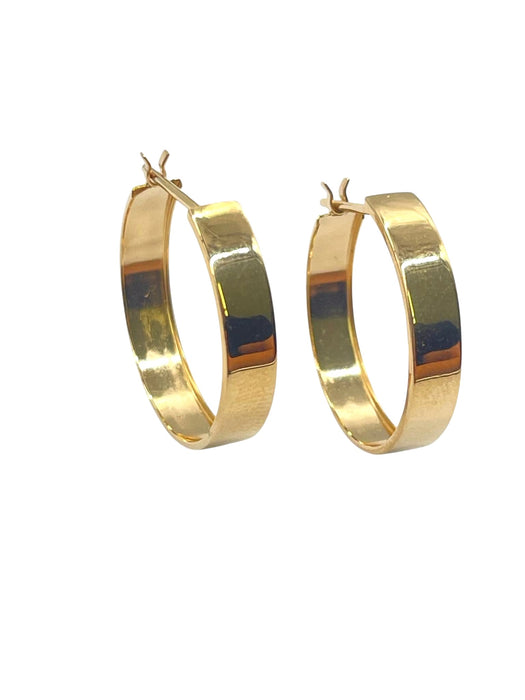 NO BRAND Gold Hoop Earrings